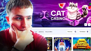 НОВОЕ КАЗИНО! CATCASINO! ЗАНЕСЕМ 50К!?🔥 РОЗЫГРЫШ НА КАРТУ 100 РУБЛЕЙ.. | #temko #zubarefff #zloy