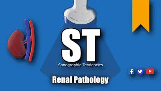 Renal Pathology