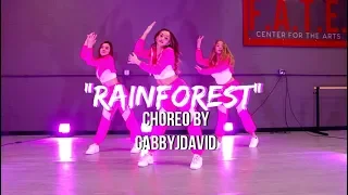 "Rainforest" Choreography | Gabby J David