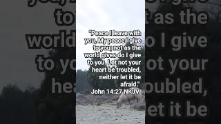 John 14:27 NKJV