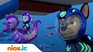 PAW Patrol Meerfellfreunde retten ein U-Boot! 🌊 | Nick Jr. Deutschland