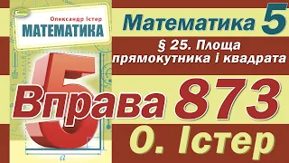 Істер Вправа 873. Математика 5 клас