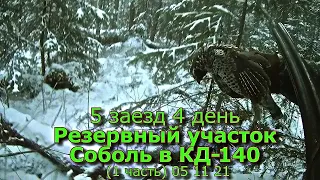 5 заезд 4 день Резервный участок Соболь в КД-140 (1 часть) 05 11 21