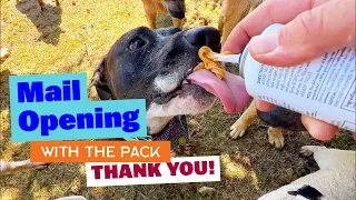 Mail Opening by Big Pack of Dogs THANK YOU