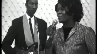 Hound Dog Taylor - Little Walter - Koko Taylor