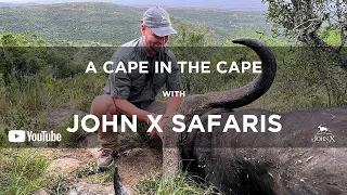 A Cape in the Cape | Buffalo Hunting | John X Safaris