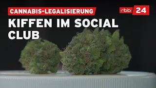 Brandenburgs 1. Cannabis Social Club gegründet