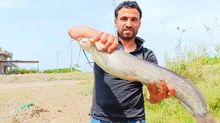 Catching large catfish during the mating season