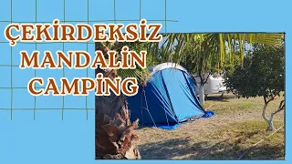 Natural Wonder: Seedless Mandalin Camping - Kemer central camping area