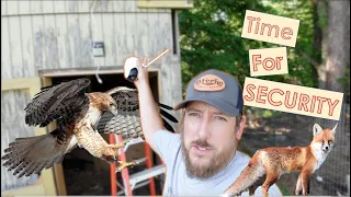 A PREDATOR attacked the FARM! | Installing Reolink 4g cameras part 1