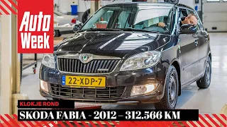 Skoda Fabia 1.2 TDI Greenline – 2012 – 312.566 km - Klokje Rond