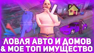 ЛОВЛЯ АВТО И ДОМОВ ПО ГОСУ & ЧТО БЫЛО НА МОЕМ АККАУНТЕ ЗА 30.000 РУБЛЕЙ НА ARIZONA RP!