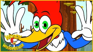 Woody Woodpecker is Back! | BRAND NEW Series Promo - Promo 2 | COMING SOON | Kids Movies