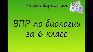 Биология. Разбор варианта ВПР по биологии 6 класс. Вариант 1