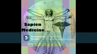 Sapien Medicine's Masculine Energy