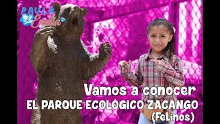 Vamos a recorrer el Parque Ecológio Zacango (felinos) 🦁🐆🐯