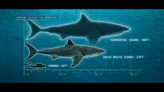 Cryptids and Monsters:  Submarine Shark, a mythical colossal shark that has terrorized South Africa