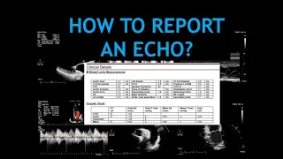 HOW TO BUILD YOUR ECHO REPORT! : Echocardiogram.