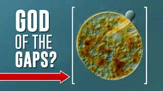 God of the GAPS? Address the Science! Problems with abiogenesis #shorts