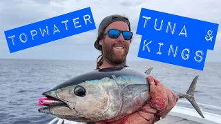 TUNA and KINGFISH on Poppers and Stickbaits - Melbourne VIC