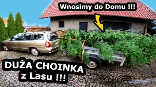 Jedziemy po CHOINKĘ do Lasu !!! - Jak wygląda Wycinka?  Czy zmieścimy ją w Pokoju? *Święta BN (#758)