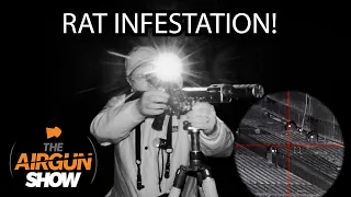 The Airgun Show | Rat Infestation Night Shooting | H&N Baracuda 8 Pellet Review