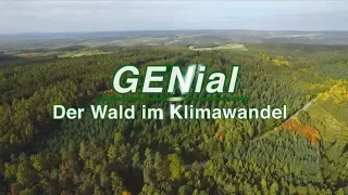 GENial - Der Wald im Klimawandel: Trailer