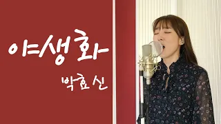 야생화 - 박효신 / 이보람 (Lee Boram) [보람씨야]