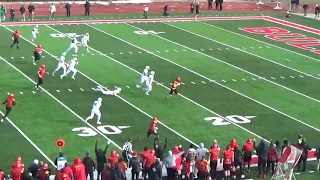 Ferris State - GT Counter Triple Option Variations