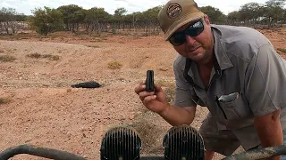 Awesome!! Hunting The Most Destructive Pest In AUSTRALIA... Pig hunting in a Yamaha Viking