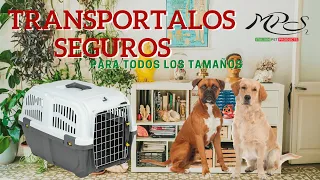 Transportadoras Skudo Iata | MPS