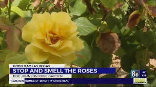 Hidden Gems: Stop and smell the roses at special garden