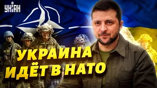 Срочное обращение Зеленского: Украина подает заявку на членство в НАТО