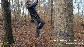 Foot & Knee Ascender Best Practices for Rope Walking & Tree Climbing