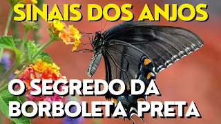 O SEGREDO DA BORBOLETA PRETA - SINAIS DOS ANJOS