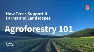 Agroforestry 101: How Trees Support IL Farms and Landscapes