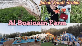 Al buainain farm and resort jubail | Al Buainain Farm Jubail Saudi Arabia |   مزارع البوعينين