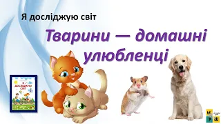 ЯДС 1 клас урок 60  Тварини — домашні улюбленці автор підручника Жаркова