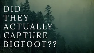 THE BIGFOOT STORY YOU SHOULD NEVER BELIEVE | Bigfoot Captured | MBM 155