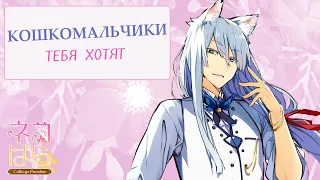 Я ПРОСТО ХОТЕЛА НОРМАЛЬНОГО МУЖИКА: NEKOPARA - Catboys Paradise