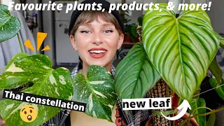 Houseplants I'm LOVING (June 2022) | Favourite plants, blooms, & favourite planty product!