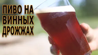 Пиво на винных дрожжах