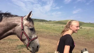 Самый честный человек в нашей области/16.07.18 🌤