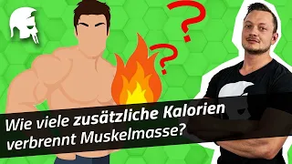 Überschätzt? So stark beeinflusst Muskelmasse den Kalorienverbrauch!