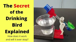 Drinking Bird Explained