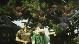 Birdemic-The most epic scene ever filmed