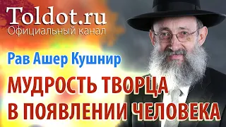 Рав Ашер Кушнир. Проявление мудрости Творца в появлении человека в этом мире. Обязанности сердец 24