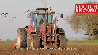 Massey Ferguson MF 5470 + MF 3070 | Ploughing and Harrowing | Ploegen en eggen