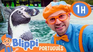 Blippi Aprende Sobre Pinguins no Zoológico | | Blippi em Português | Vídeos Educativos para Crianças