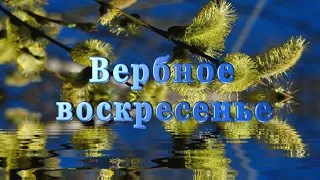 С Вербным воскресеньем! (Музыкальная открытка)